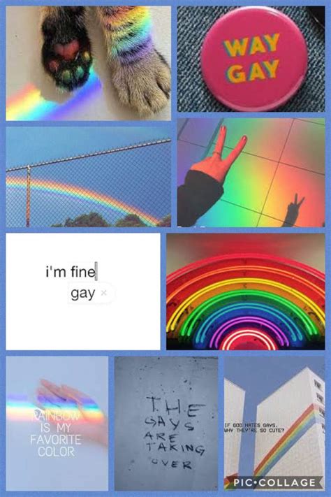 In Search of a Gay Aesthetic .